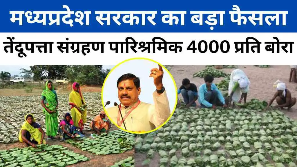 पथ अंत्योदय का प्रण: जनजातीय समुदाय के कल्याण के लिए मध्यप्रदेश सरकार का बड़ा फैसला