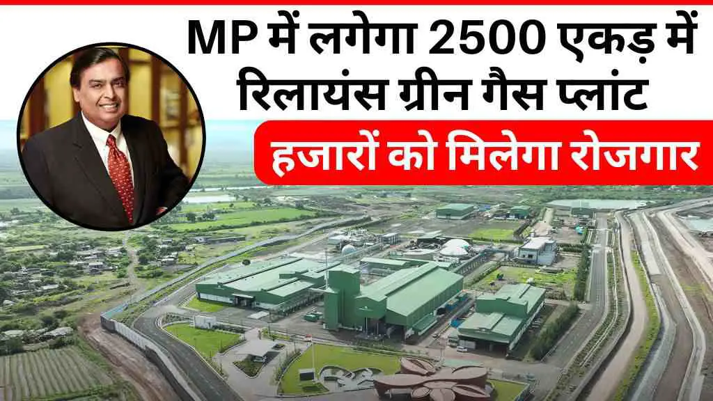 MP में लगेगा 2500 एकड़ में रिलायंस ग्रीन गैस प्लांट: अब बनेगा नया इंडस्ट्रियल हब, हजारों को मिलेगा रोजगार